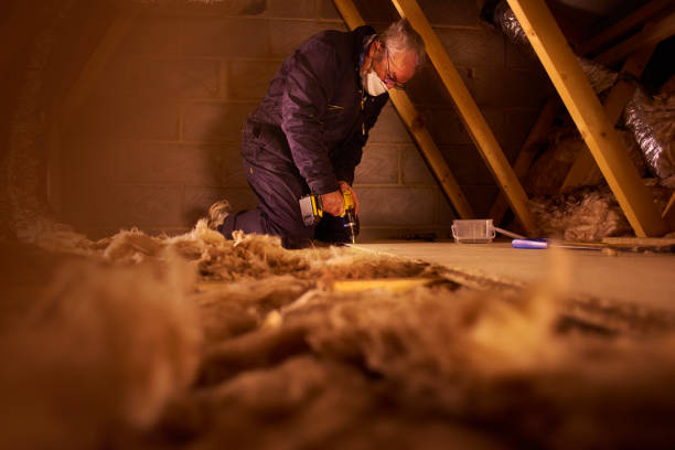 Types of Insulation We Offer in Tequesta, FL